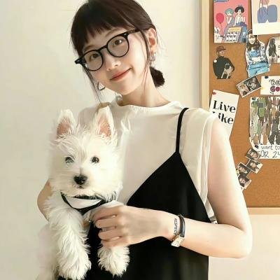 春光灿烂猪八戒2000